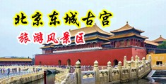 大鸡操骚逼视频网站中国北京-东城古宫旅游风景区